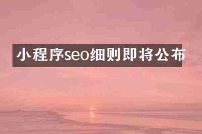 小程序seo细则即将公布