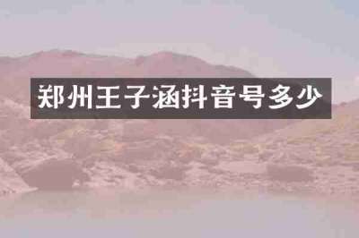 郑州王子涵抖音号多少
