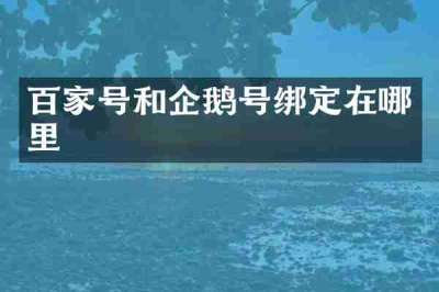 百家号和企鹅号绑定在哪里