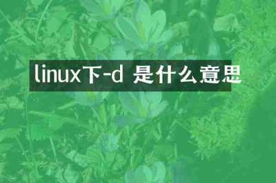 linux下-d 是什么意思