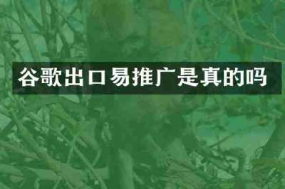 谷歌出口易推广是真的吗