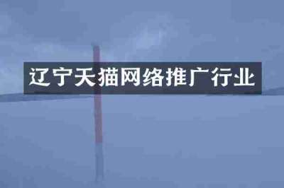 辽宁天猫网络推广行业