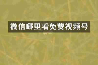 微信哪里看免费视频号