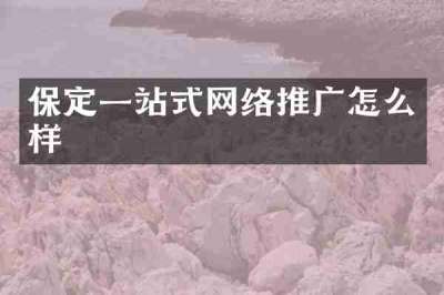 保定一站式网络推广怎么样