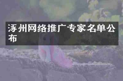 涿州网络推广专家名单公布