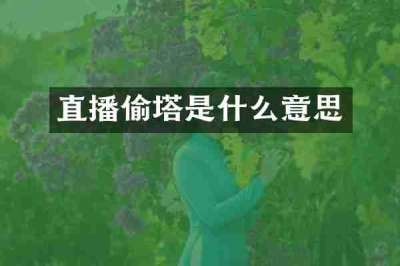 直播偷塔是什么意思