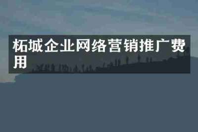 柘城企业网络营销推广费用