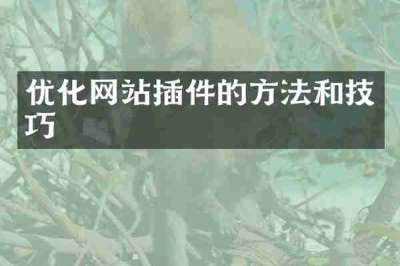 优化网站插件的方法和技巧