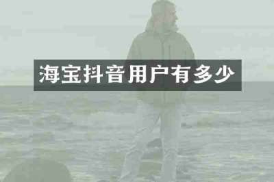 海宝抖音用户有多少