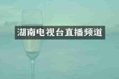 湖南电视台直播频道