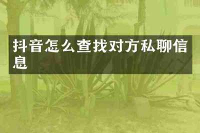 抖音怎么查找对方私聊信息