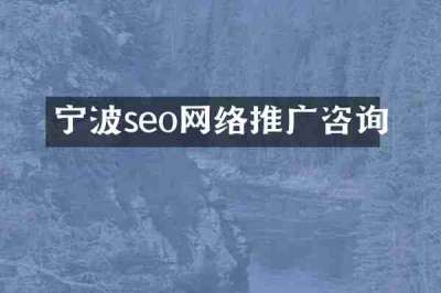 宁波seo网络推广咨询