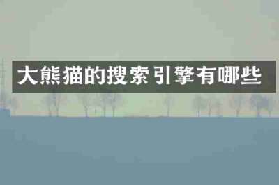 大熊猫的搜索引擎有哪些