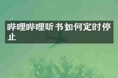 哔哩哔哩听书如何定时停止