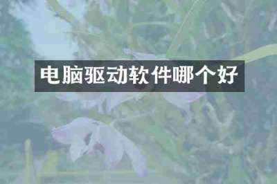 电脑驱动软件哪个好