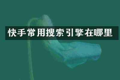 快手常用搜索引擎在哪里