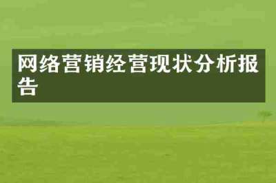 网络营销经营现状分析报告