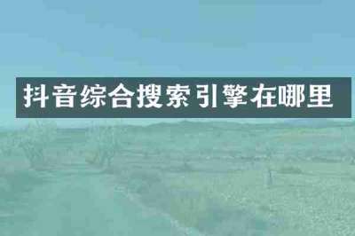 抖音综合搜索引擎在哪里