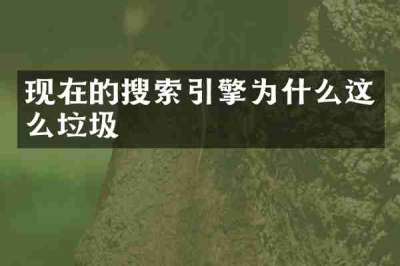 现在的搜索引擎为什么这么垃圾