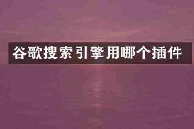 谷歌搜索引擎用哪个插件