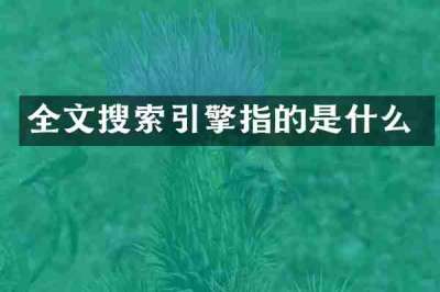 全文搜索引擎指的是什么