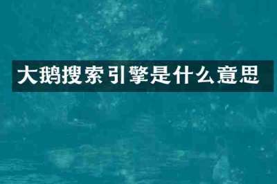 大鹅搜索引擎是什么意思