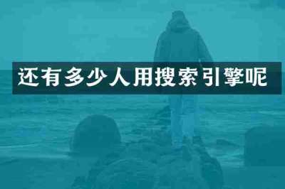 还有多少人用搜索引擎呢