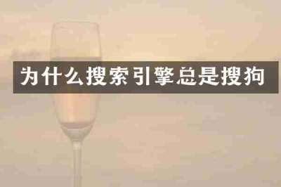 为什么搜索引擎总是搜狗