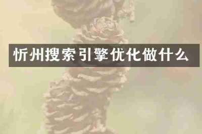 忻州搜索引擎优化做什么