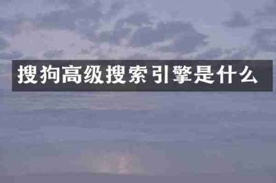 搜狗高级搜索引擎是什么