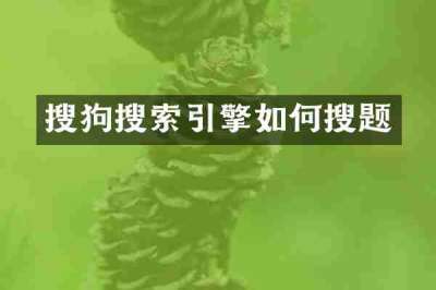 搜狗搜索引擎如何搜题
