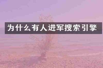 为什么有人进军搜索引擎