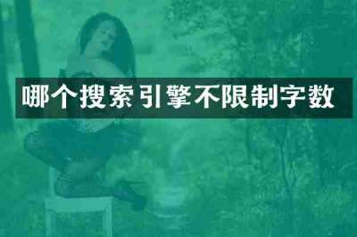 哪个搜索引擎不限制字数