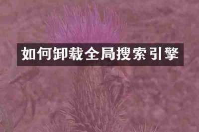 如何卸载全局搜索引擎