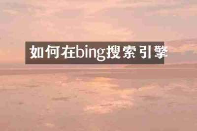 如何在bing搜索引擎
