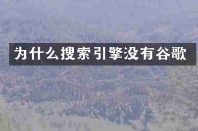 为什么搜索引擎没有谷歌