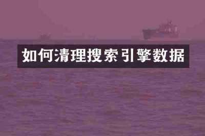 如何清理搜索引擎数据