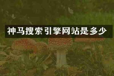 神马搜索引擎网站是多少