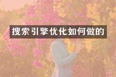 搜索引擎优化如何做的