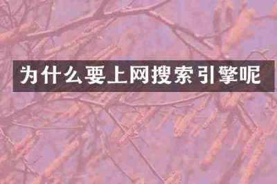 为什么要上网搜索引擎呢