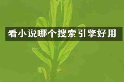 看小说哪个搜索引擎好用
