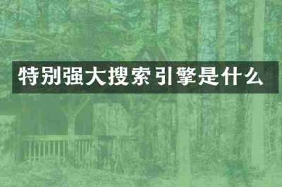 特别强大搜索引擎是什么