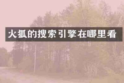 火狐的搜索引擎在哪里看