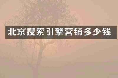 北京搜索引擎营销多少钱