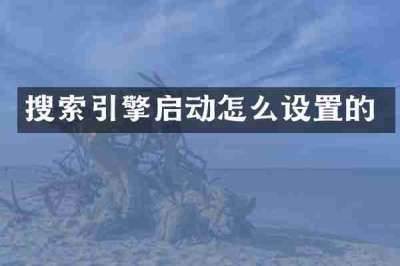 搜索引擎启动怎么设置的