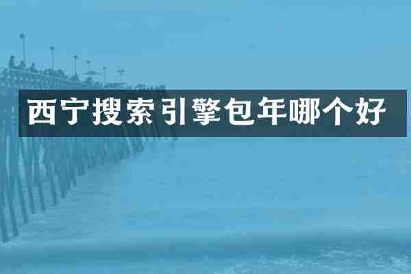 西宁搜索引擎包年哪个好