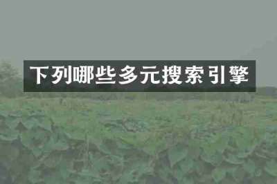 下列哪些多元搜索引擎