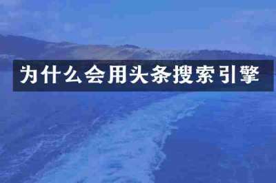 为什么会用头条搜索引擎