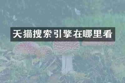 天猫搜索引擎在哪里看