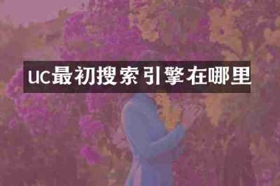 uc最初搜索引擎在哪里
